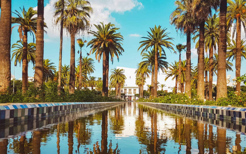  Des bus touristiques pour se déplacer à Casablanca