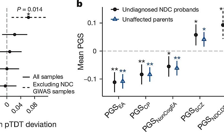  Une nouvelle étude relie les différences courantes de l’ADN à des conditions neurodéveloppementales rares et inexpliquées