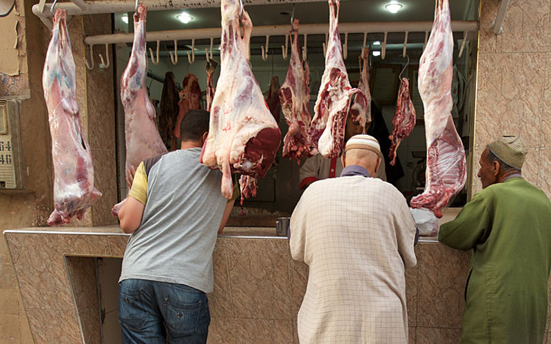  De la viande de chien ? Un boucher arrêté à Marrakech