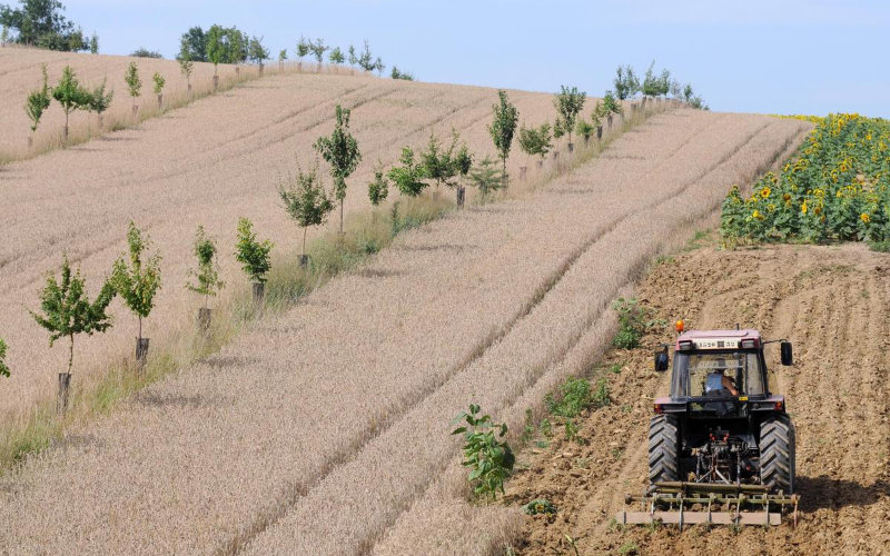  Des Marocains réduits en esclavage dans le Lot-et-Garonne