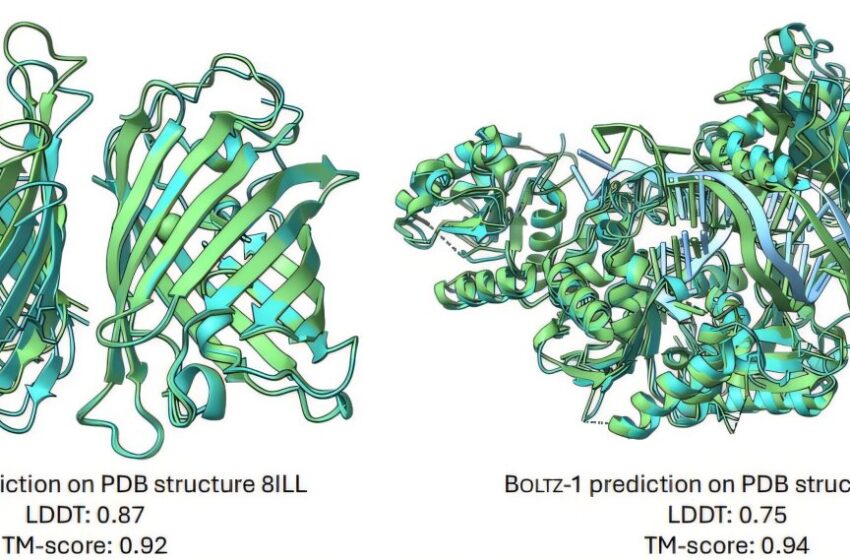  Le modèle entièrement open source rivalise avec AlphaFold3 pour prédire les structures biomoléculaires