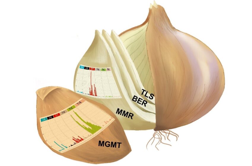  Vaincre la résistance du glioblastome à la chimiothérapie