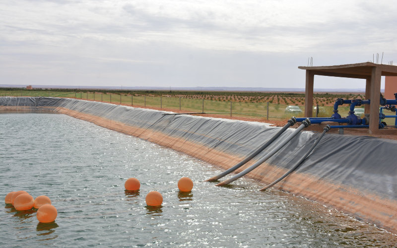  quatre morts dans une mare d’eau