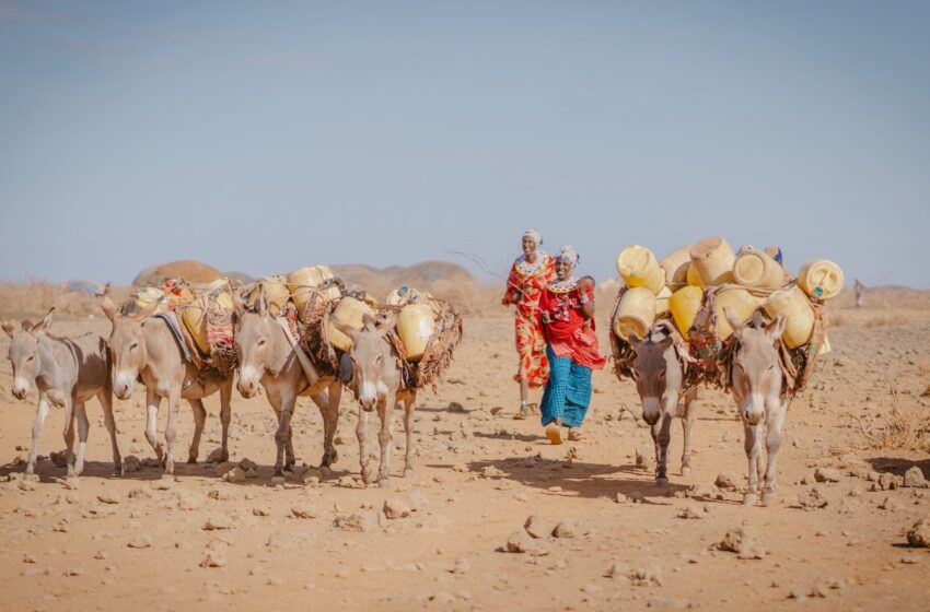  Au Kenya, les filles sont vendues dans le mariage pour éviter la famine de la sécheresse | Nouvelles de sécheresse