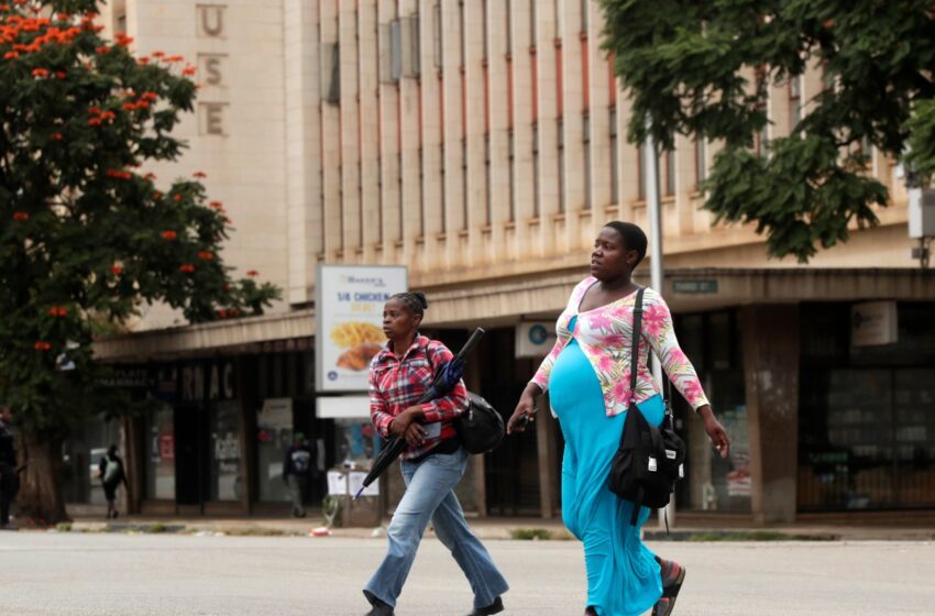  Au milieu de la crise politique, de l’espoir et de la frustration du Zimbabwe. Entreprise et économie