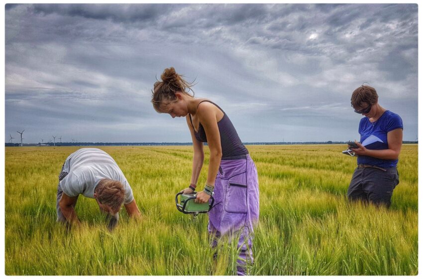  La gestion moins intensive fonctionne mieux pour les sols agricoles, les découvertes de l’étude