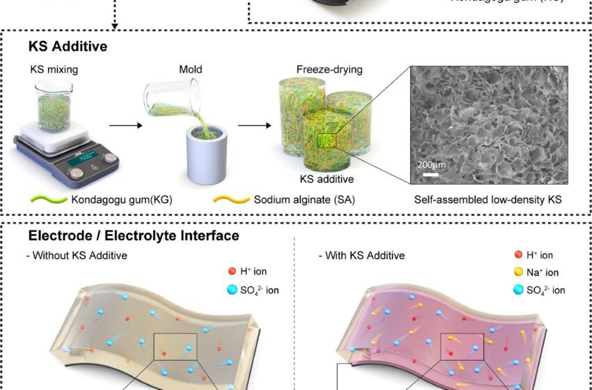  La gomme d’arbre peut durablement suralimenter la durée de vie des supercondensateurs