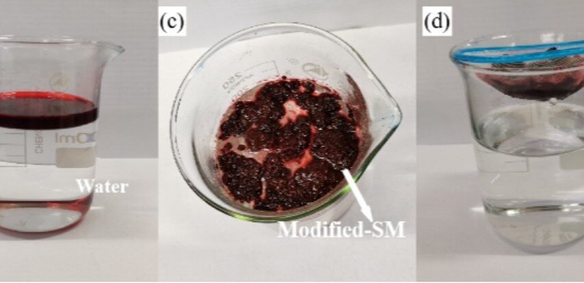  L’adsorbant à base de mousse réutilisable peut aider à nettoyer les déversements d’huile