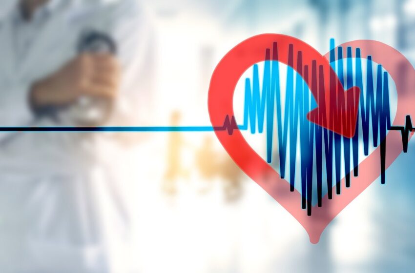  L’anomalie de la valve cardiaque est associée à des arythmies malignes, l’étude révèle