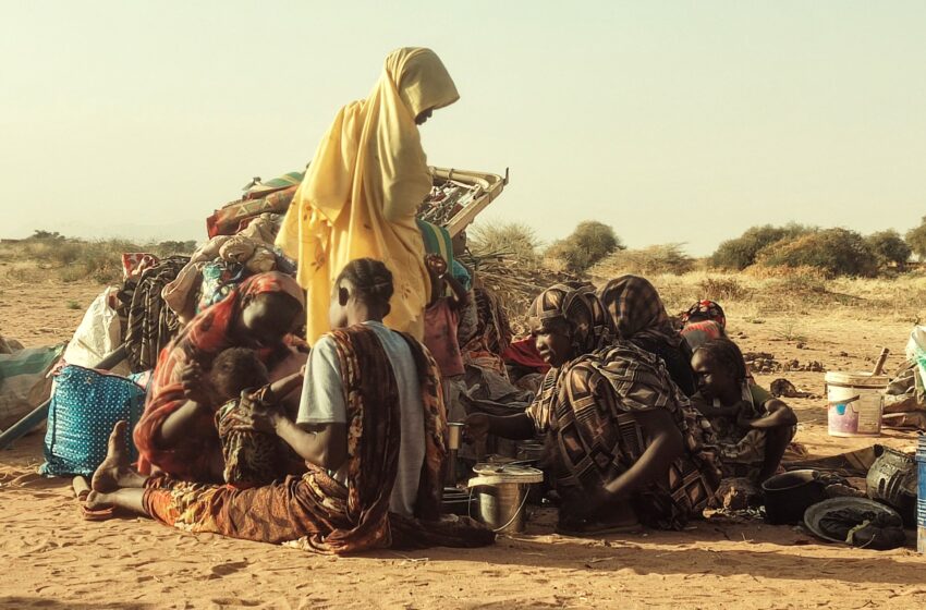 Le RSF du Soudan revendique le contrôle du camp Zamzam-Hit Hit au Darfour | Nouvelles de la guerre du Soudan