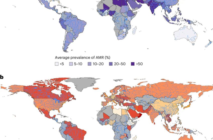  Le changement climatique et le manque de politiques durables peuvent alimenter l’augmentation des superbulaires