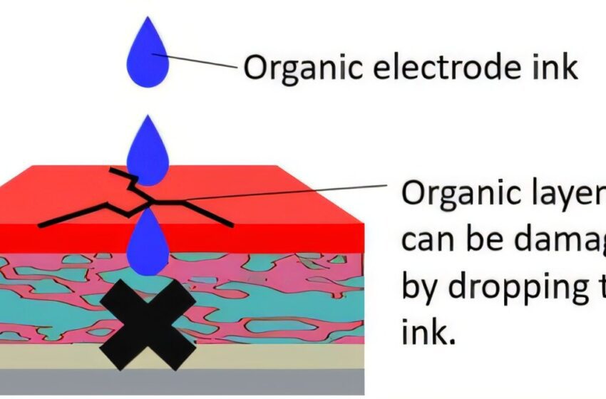  Les cellules solaires entièrement organisées atteignent une efficacité record en doubler les performances précédentes