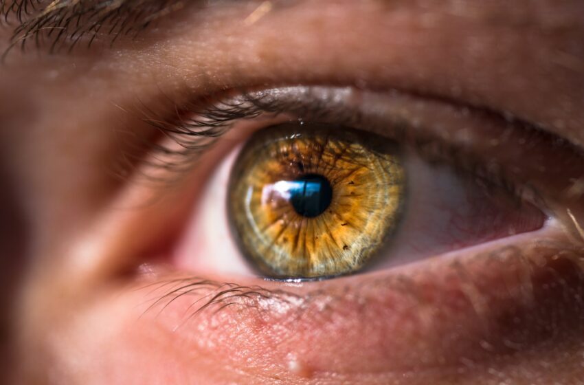  Les chercheurs trouvent un lien entre le VPH et les maladies oculaires thyroïdiennes