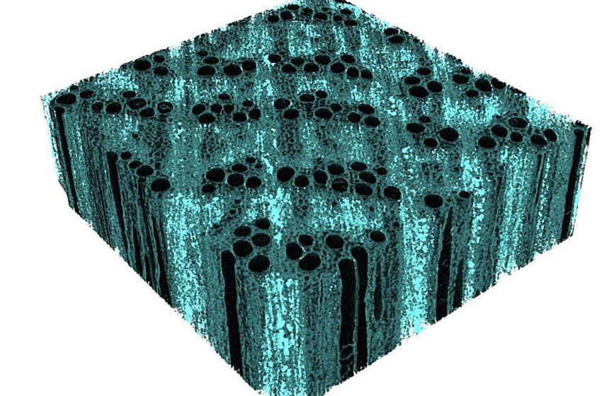  Les ingénieurs fortifient le bois avec des nano-fer écologiques
