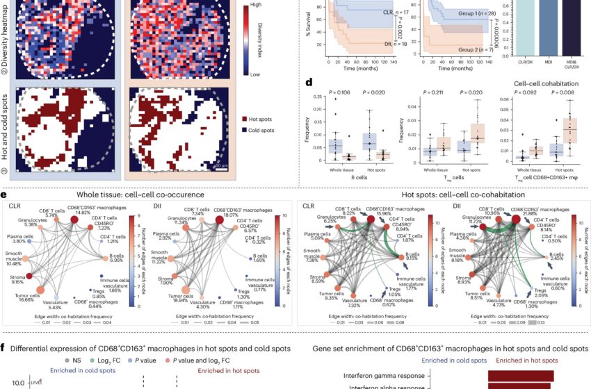  Un nouveau cadre informatique illumine l’écologie cachée des tissus malades