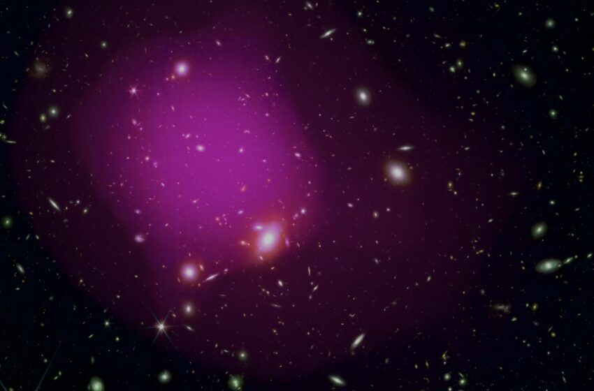  Cellule précurseur du cancer identifiée; Webb repère plus de vieilles galaxies