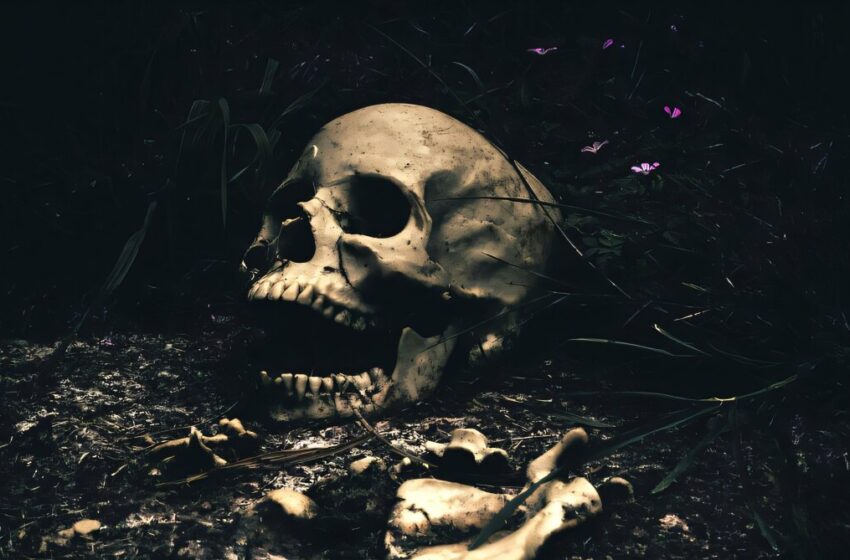  L’ancienne étude funéraire de Maya remet en question la théorie des sacrifices humains, indique les actes de création de lieux