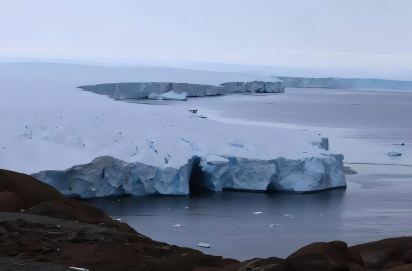  Les glaciers fondent plus rapidement que jamais, menaçant la biodiversité et la stabilité de l’écosystème dans le monde entier