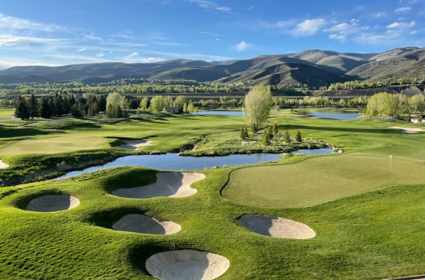  Proximité du terrain de golf liée au risque de maladie de Parkinson supérieur