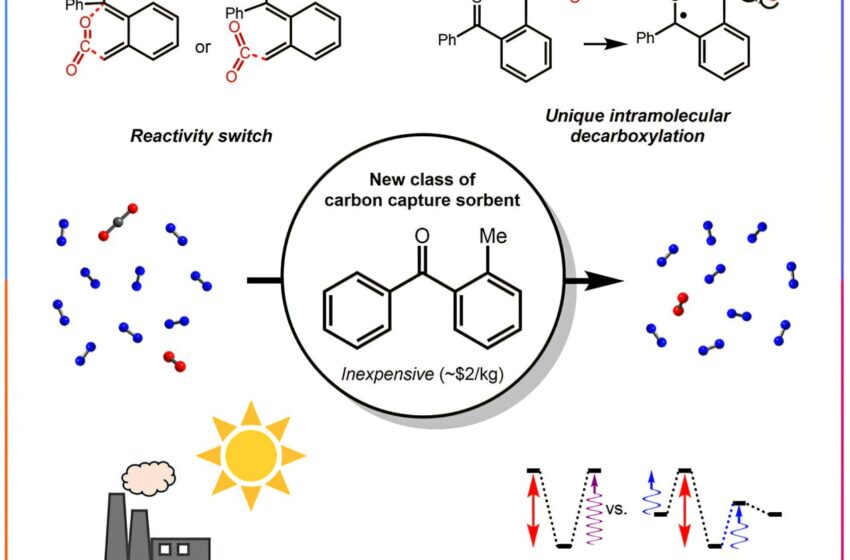  Système alimenté par la lumière du soleil imite les usines de capture de carbone de puissance