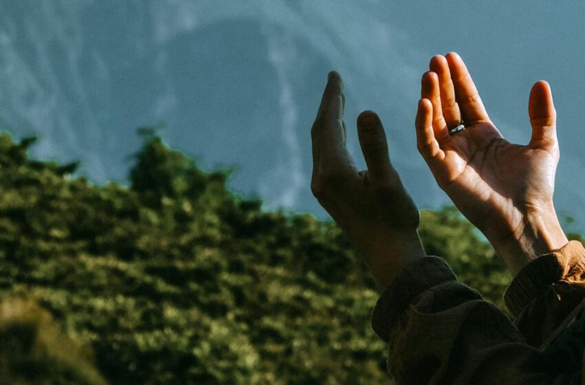  Restauration de l’équilibre | Climat