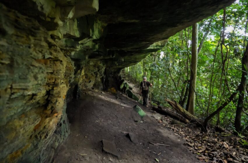  Gabon Forest Cave révèle des indices sur l’Afrique centrale préhistorique
