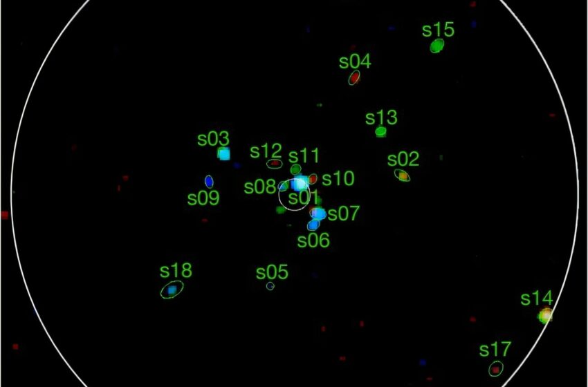  L’étude explore les sources de rayons X en grappe globulaire NGC 6528