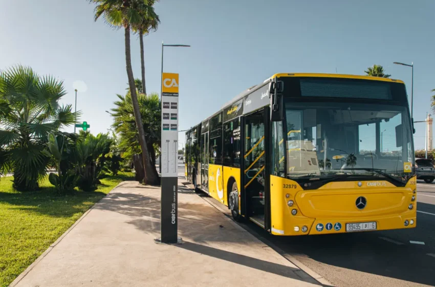  La colère montre Casa Bus