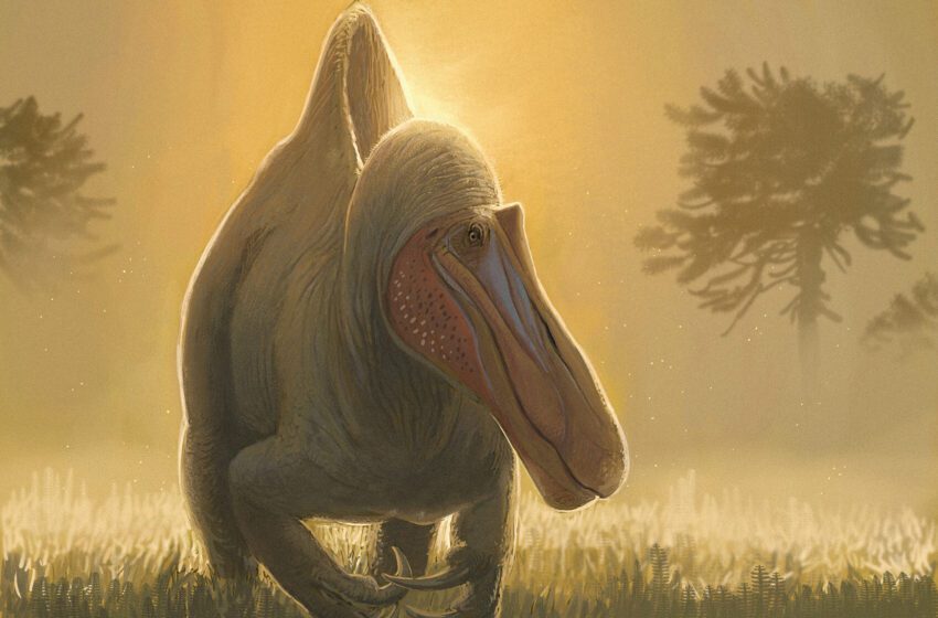  Les racines européennes des dinosaures prédateurs géants de l’Afrique