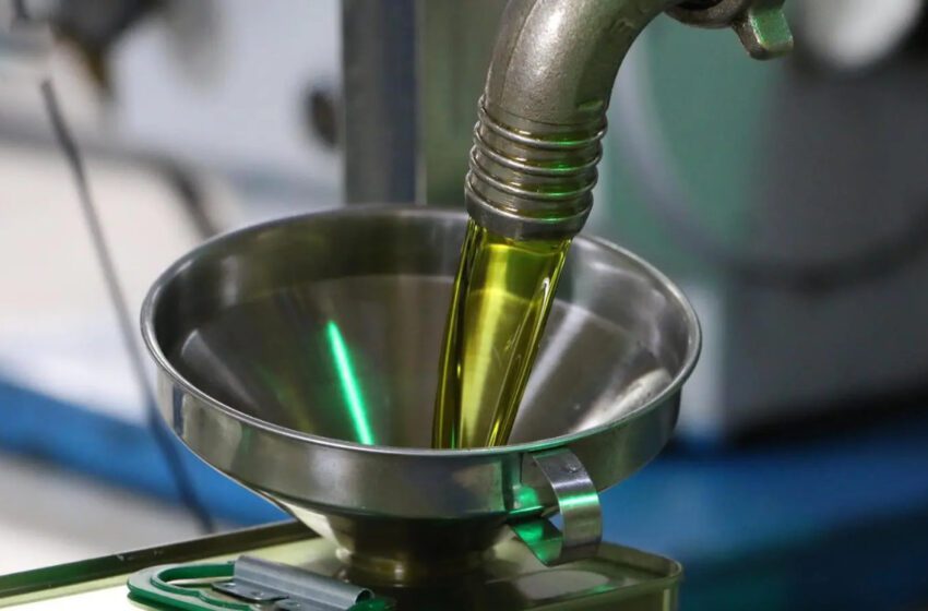  Au nord du Maroc, les pressoirs à huile d’olive dans le viseur de l’Etat