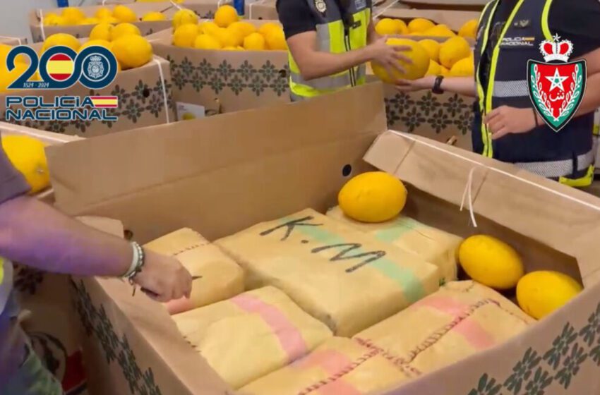  Entre l’Espagne et le Maroc, le haschisch dans les melons
