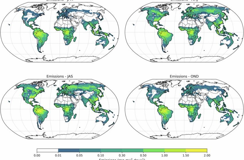  Il a été démontré que les diterpènes des arbres forment des aérosols, ce qui entraîne des mises à jour des modèles atmosphériques