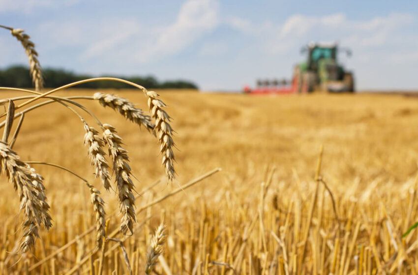 La sécheresse pousse le Maroc à dépendre de la France