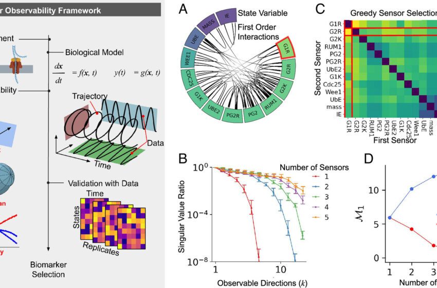  Les principes fondamentaux de l’ingénierie peuvent aider à identifier plus rapidement les biomarqueurs de maladies