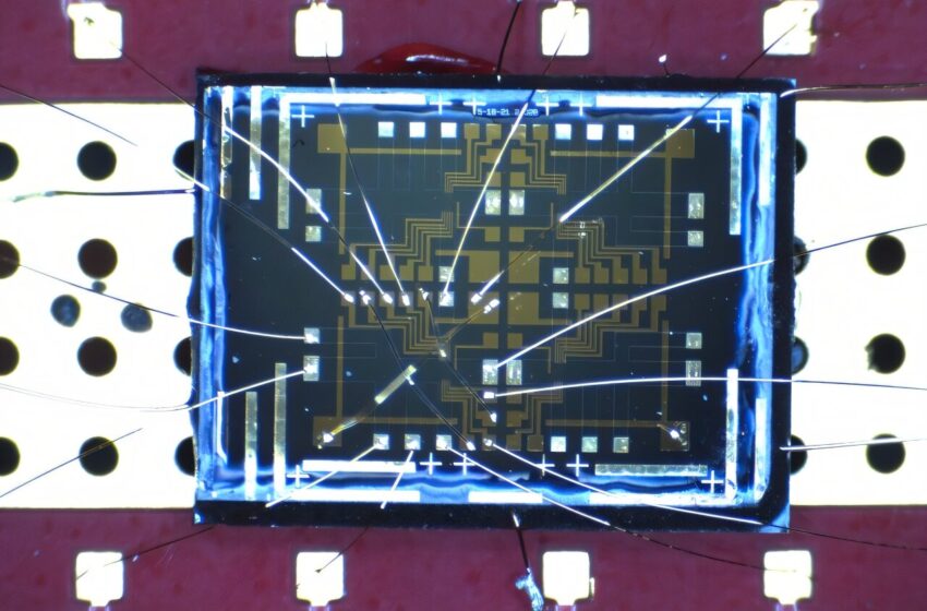  Preuve directe de l’effet tunnel universel Anyon dans un liquide chiral de Luttinger révélée dans une expérience en mode bord