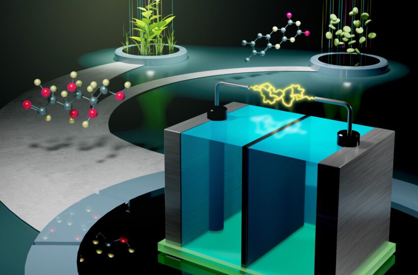  Une batterie prototype alimentée par du glucose et de la vitamine B2 ouvre la voie à un stockage d’énergie plus abordable