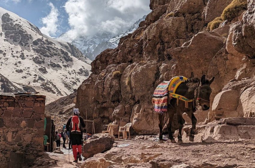 il gravit le mont Toubkal pour honorer la mémoire de son épouse décédée