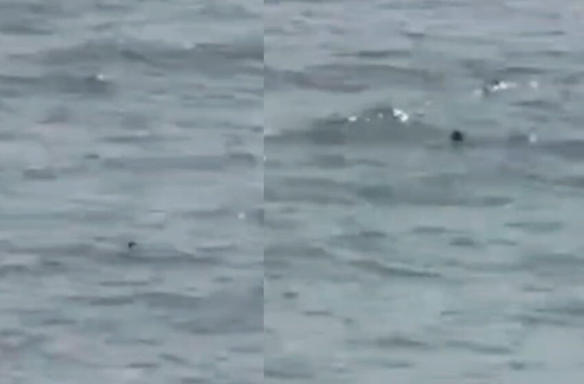  le rêve de Ceuta se termine dans les eaux de Fnideq