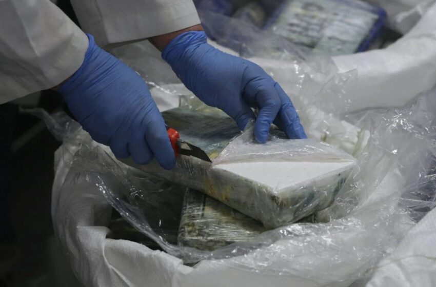  saisie de haschich caché dans des caisses de poisson à destination d’Algésiras