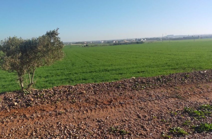  seize ans d’attente pour les familles expropriées de leurs terres