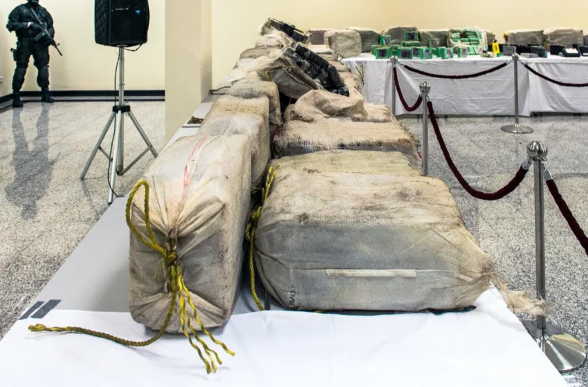  446 tonnes de drogue saisies depuis le début de l’année, selon le ministère de l’Intérieur