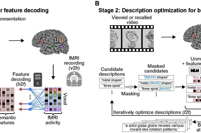  Une technique de « sous-titrage mental » permet de lire les pensées humaines à partir d’analyses cérébrales