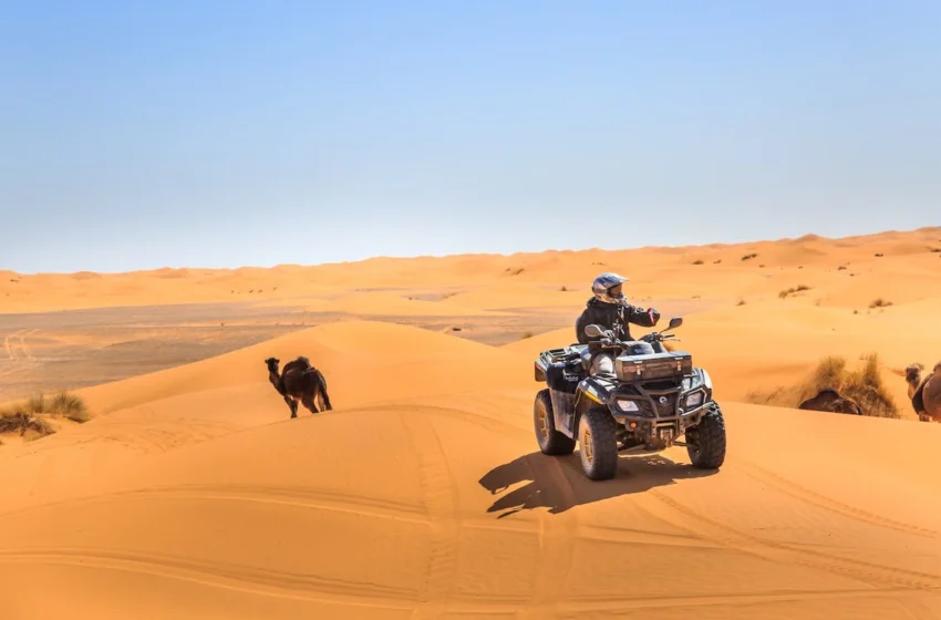  les réservations atteignent des niveaux records