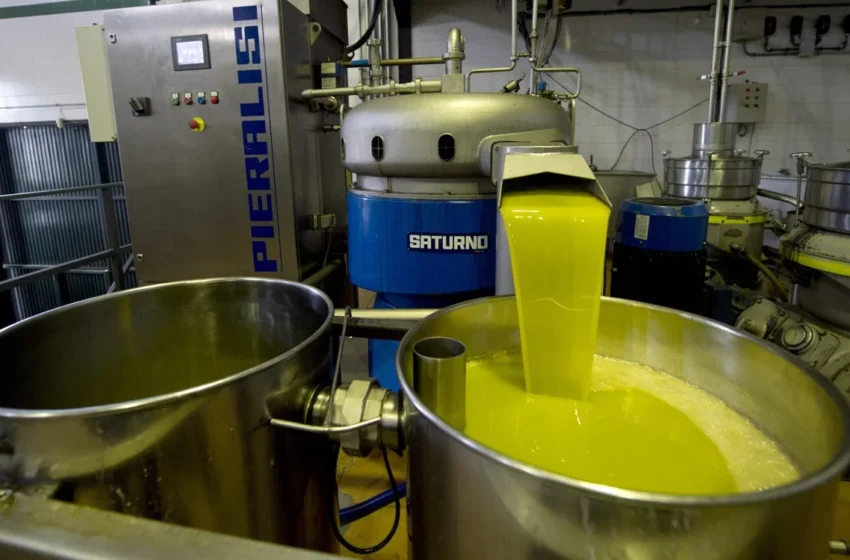  un géant espagnol menace de délocaliser sa production au Maroc