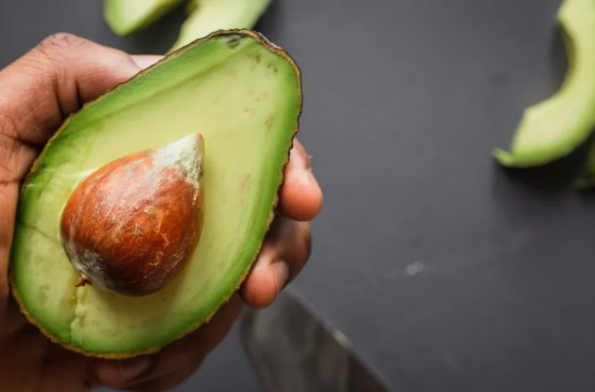  Pourquoi l’avocat marocain s’envole-t-il soudainement sur le marché ?
