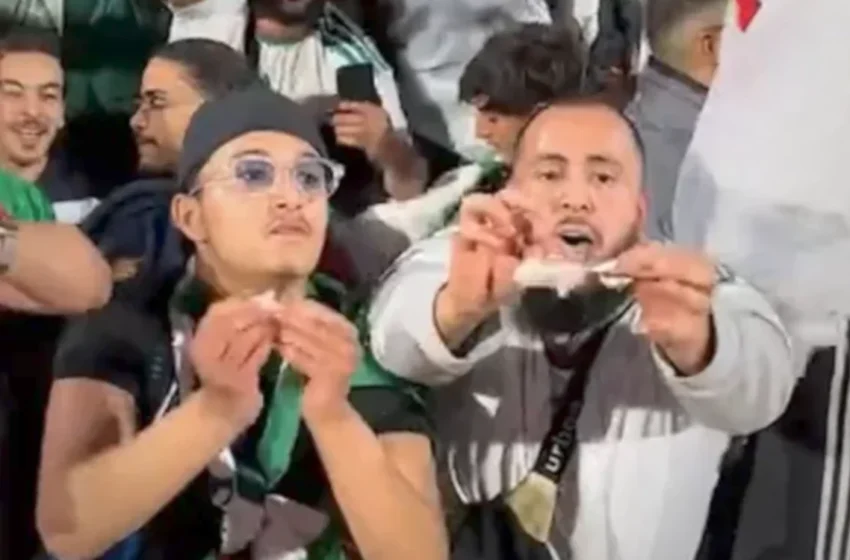  8 mois de prison pour un supporter algérien qui a déchiré des billets de banque