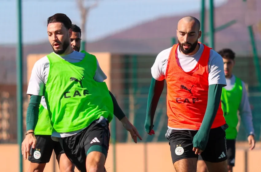  Éliminée de la CAN, l’Algérie quitte le Maroc par la « porte tunisienne »