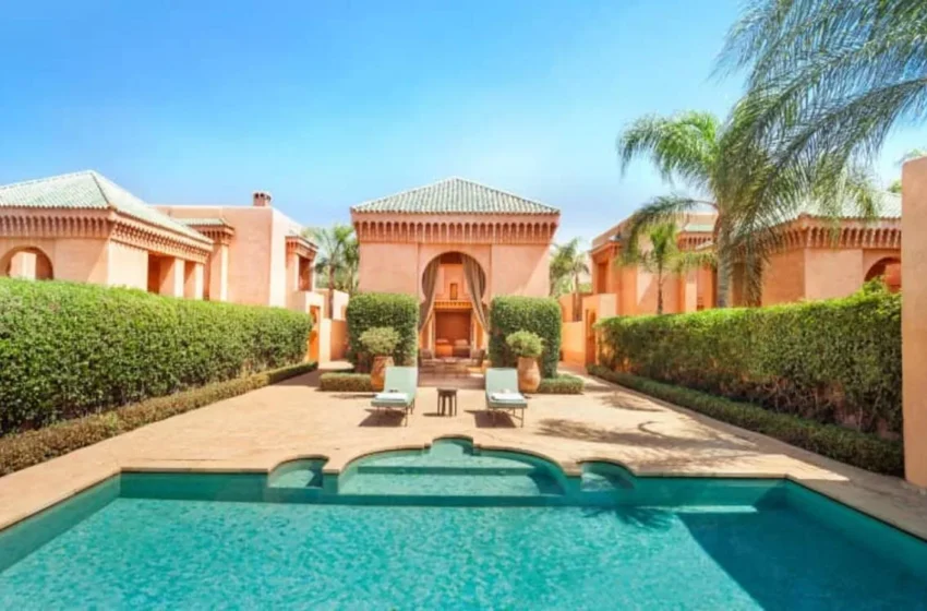  Envie de soleil en plein hiver ? Marrakech attire les voyageurs du monde entier