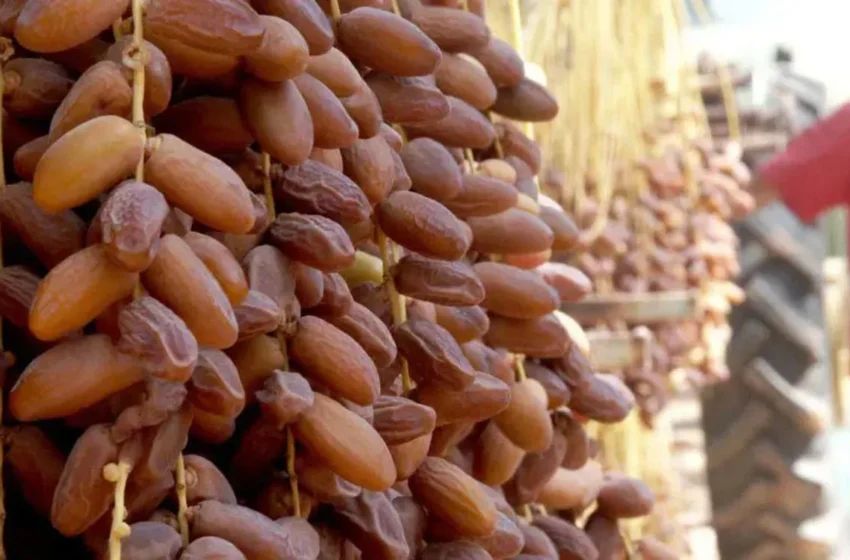  Le Maroc bloque les dates tunisiennes