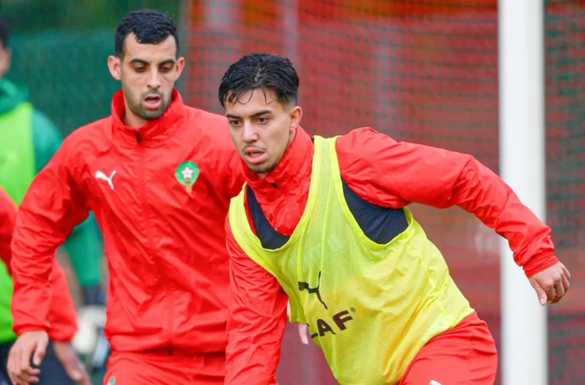  la nomination des arbitres algériens fait grincer des dents